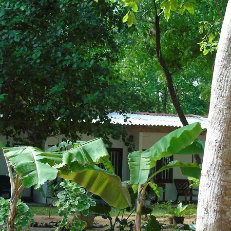 Talalla Coconut Hotel Kültér fotó