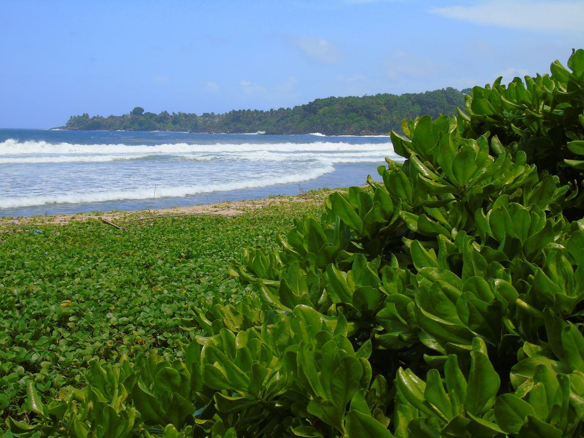 Talalla Coconut Hotel Kültér fotó