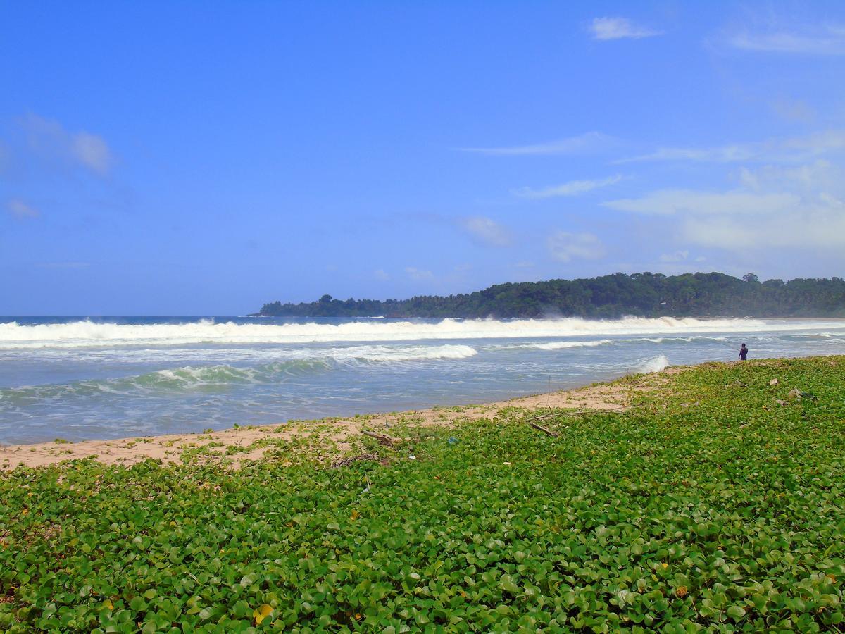 Talalla Coconut Hotel Kültér fotó