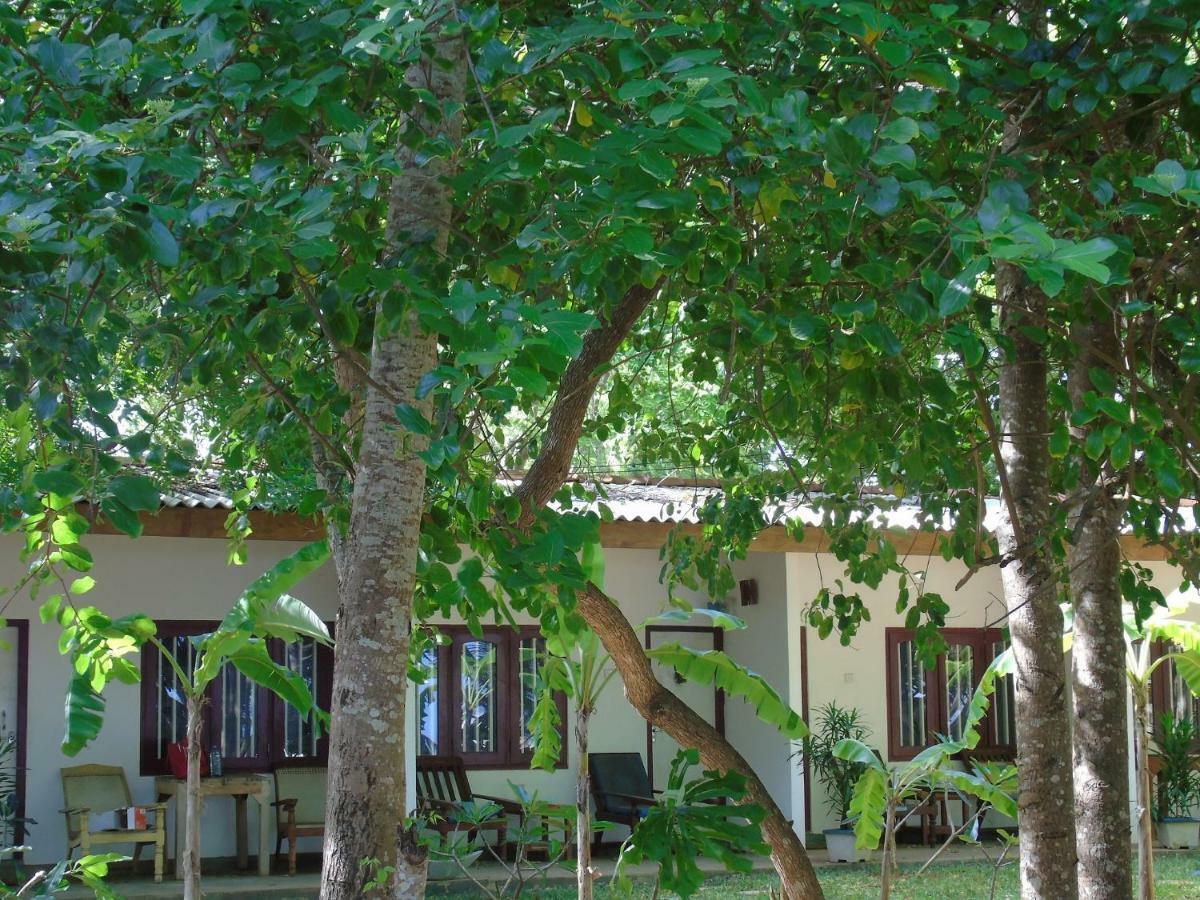 Talalla Coconut Hotel Kültér fotó