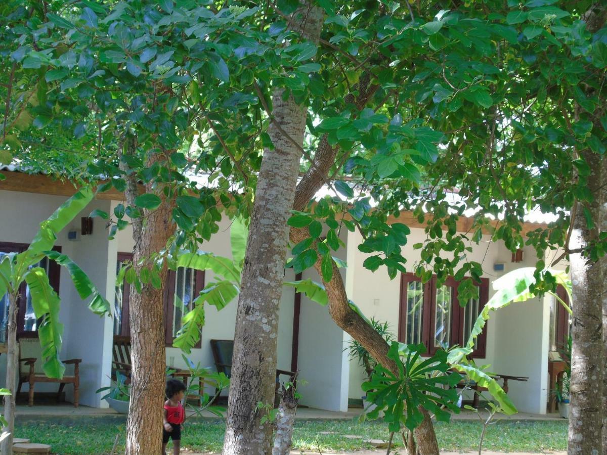 Talalla Coconut Hotel Kültér fotó