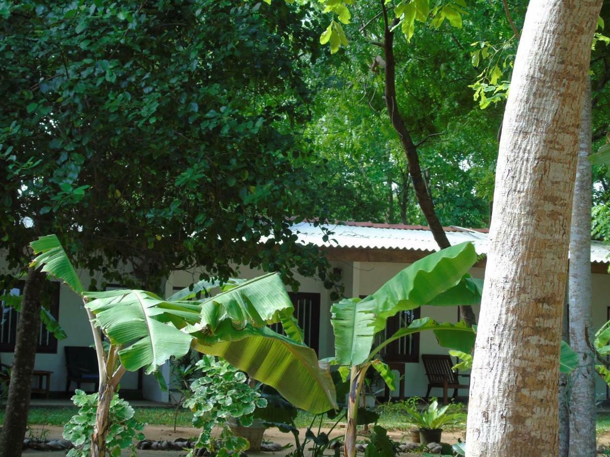 Talalla Coconut Hotel Kültér fotó