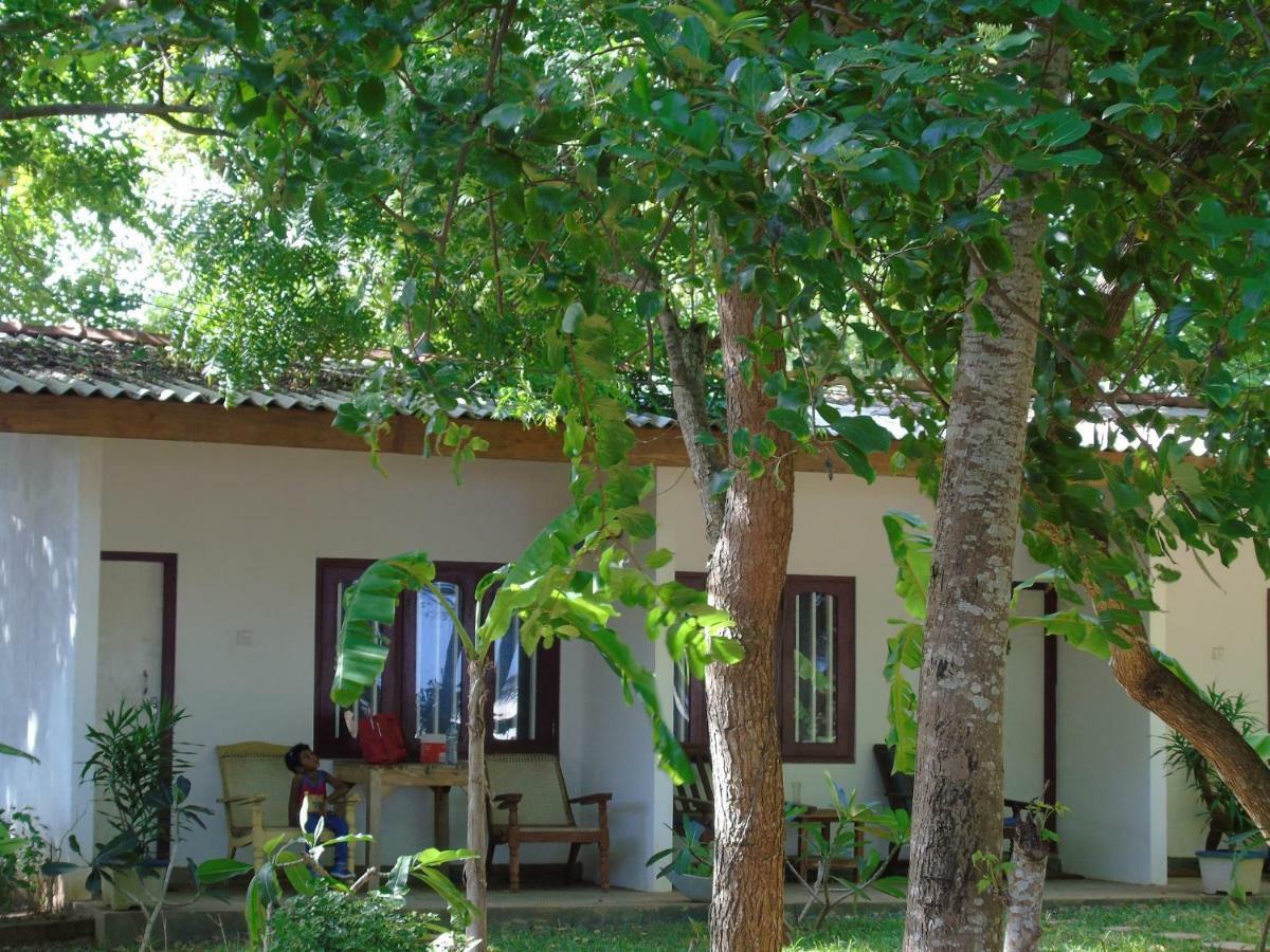 Talalla Coconut Hotel Kültér fotó