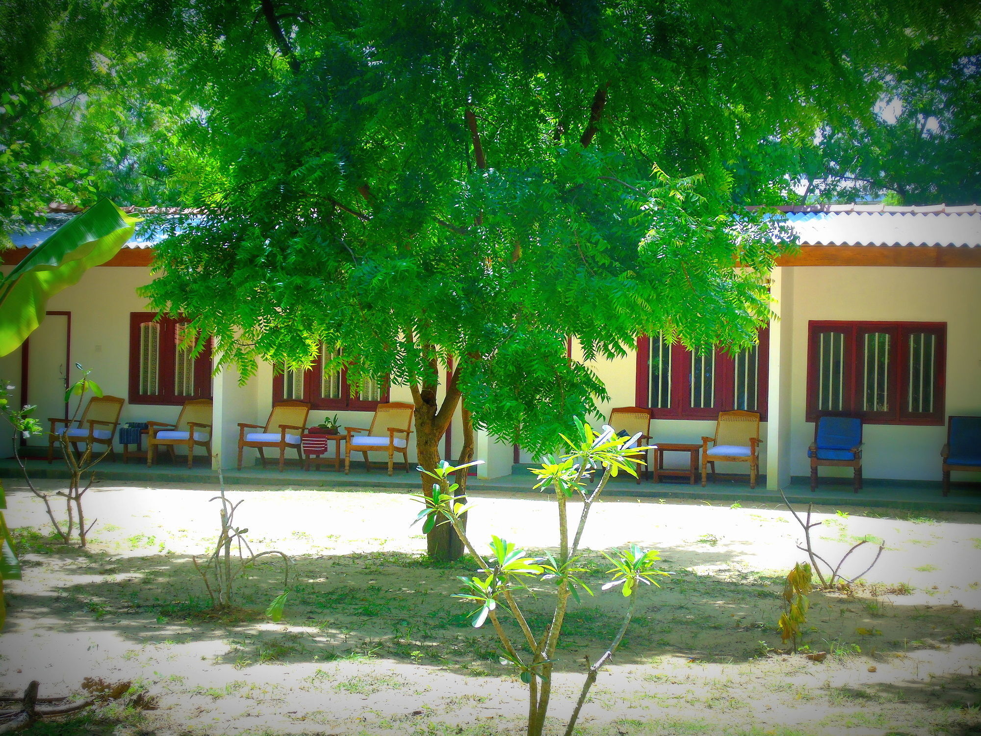 Talalla Coconut Hotel Kültér fotó