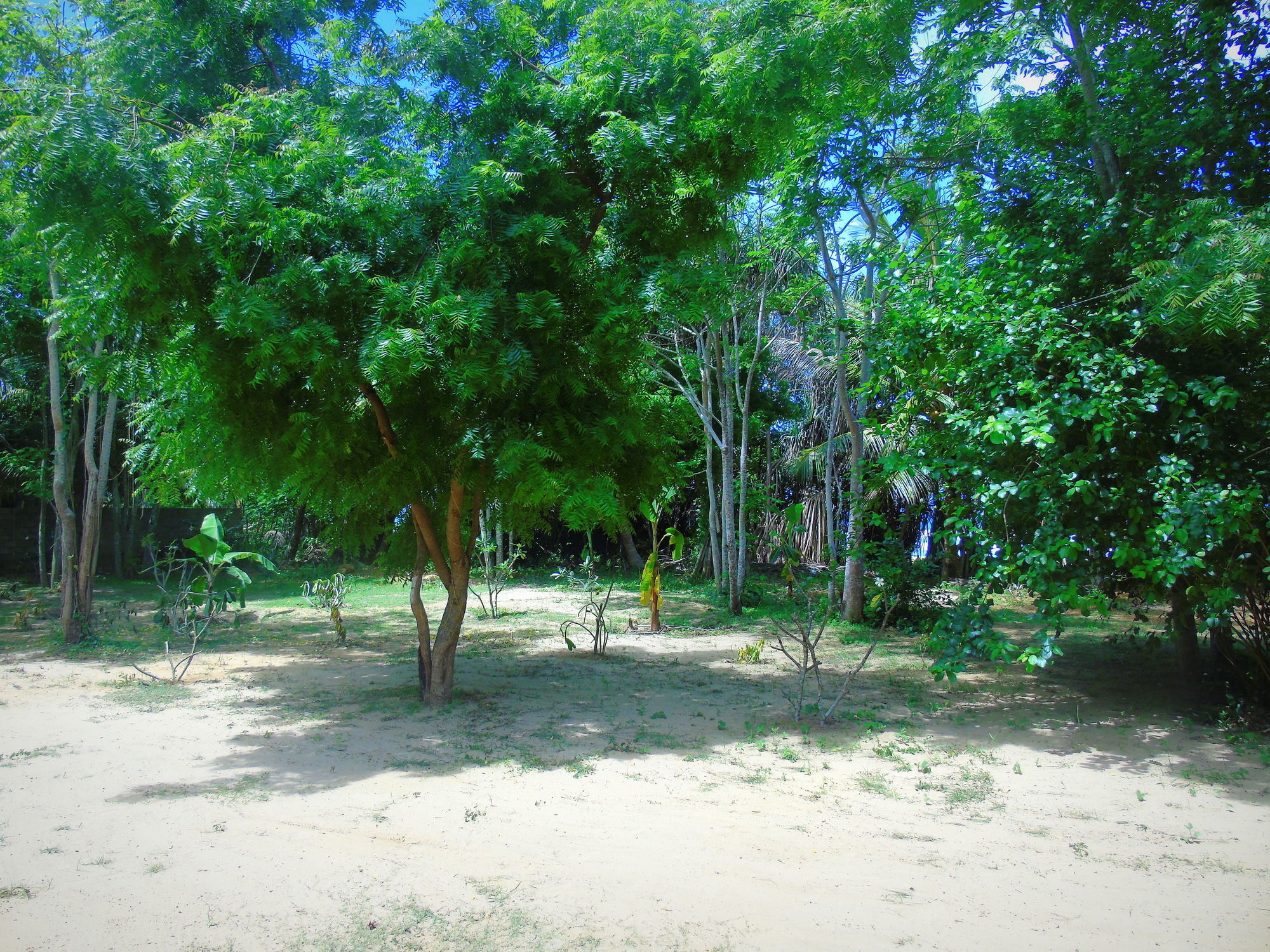 Talalla Coconut Hotel Kültér fotó
